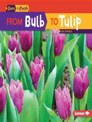 cover image of From Bulb to Tulip